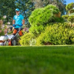Residential Lawn Mowing Services