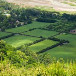 Buying and Selling Land Nationwide Made Simple