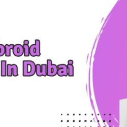 Best Fibroid Treatment