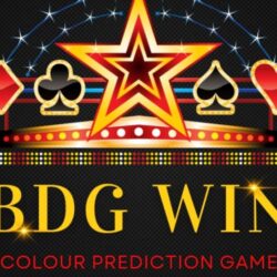 about-bdg-win