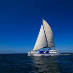 nemo-iii-galapagos-islands-cruise