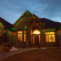 Jellyfish Lighting Installation by Rooflites