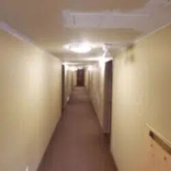 Expert Painting Stucco Services in Victoria BC