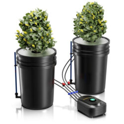 Cannabis Hydroponic System