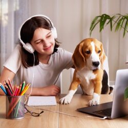 Best-Online-Dog-Training-Courses