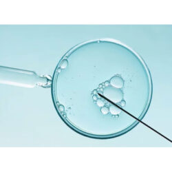 fertility preservation in women (1)