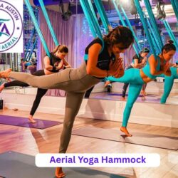 Aerial Yoga Hammock