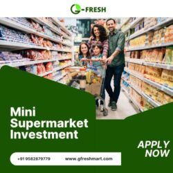 Mini Supermarket Investment