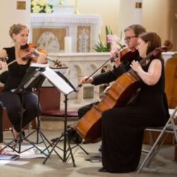 Elegant String quartet