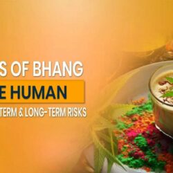 1772527470_Effects_of_Bhang_on_the_Human_Body__Short-Term___Long-Term_Risks__1_ (1)
