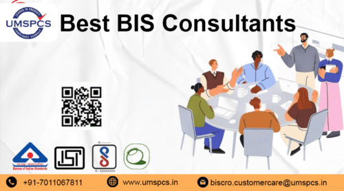BIS Consultants (1) BIS Consultants (1)
