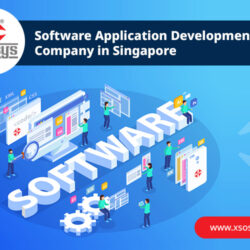 Software-Application-Development-Company-in-Singapore