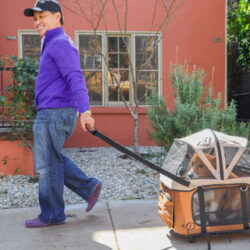 Big Dog Stroller
