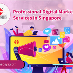 Professional-Digital-Marketing-Services-in-Singapore