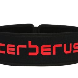 weightlifting belt 2