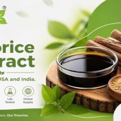 Pure Licorice Extract Supplier in USA and India