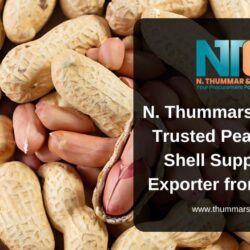 Thummars Blog sharing