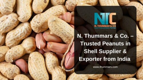 Thummars Blog sharing Thummars Blog sharing