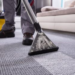 carpet cleaning