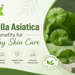 Centella Asiatica Benefits for Healthy Skin Care