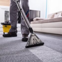 Carpet Cleaning Company