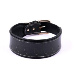 61ojItpPE1L