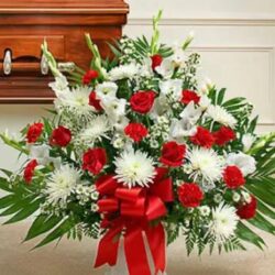 image (53) (1)