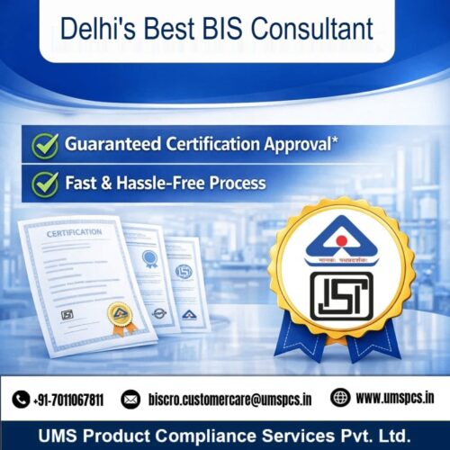 Delhi's Best Bis (2) (1) Delhi's Best Bis (2) (1)