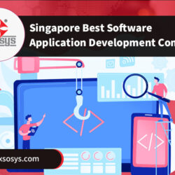 Singapore-Best-Software-Application-Development-Company