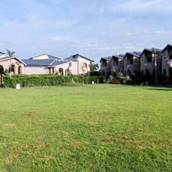 amaris jimcorbett resort