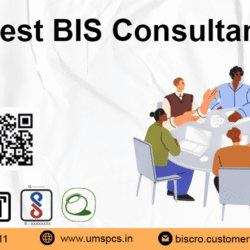 BIS Consultants (1)