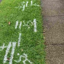 utility-locating-brisbane-7 (1)