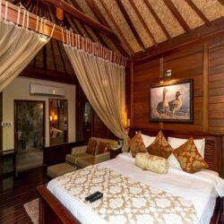 Tree House Resort Jaipur