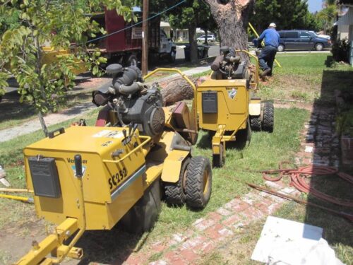 What-Are-the-Benefits-of-Hiring-a-Landscaping-Company-in-Vista-CA-1 What-Are-the-Benefits-of-Hiring-a-Landscaping-Company-in-Vista-CA-1