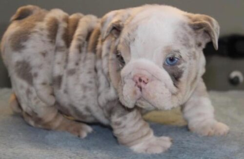 3 3