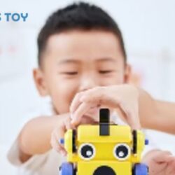 Stem Learning Toys