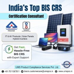 Top Bis CRS Consultant in india (1)