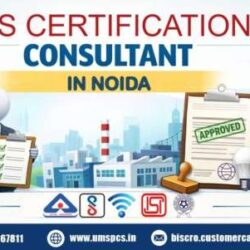 BIS Certification Conslutant Noida (1)