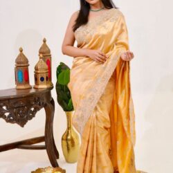 bridal_saree_optimized_250