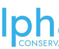 logo-6a16fe49a3463
