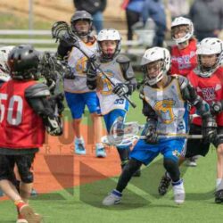 Youth Sports Picture Day