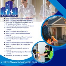 Servicios de