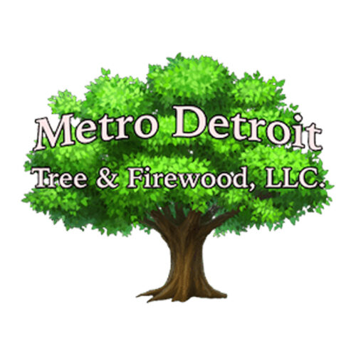 logo800x800 logo800x800