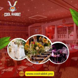 httpscoolrabbit.pro