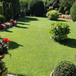 Landscaping Company In Gilroy