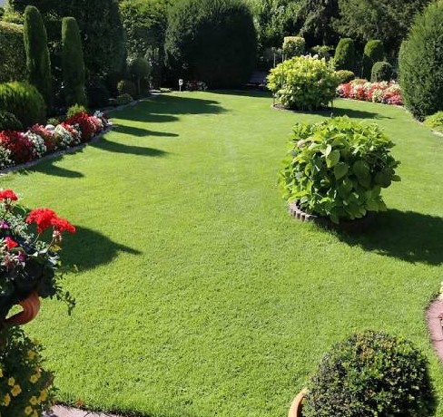 Landscaping Company In Gilroy Landscaping Company In Gilroy