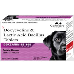 Doxcanin-LB – 100mg (1)