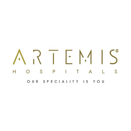 Artemis Hospital Artemis Hospital