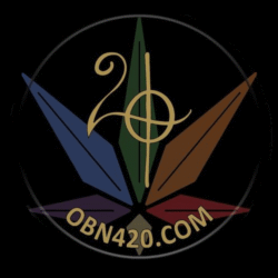 obn420-logo-2022-temp