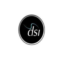 dsi-direct-logo-3